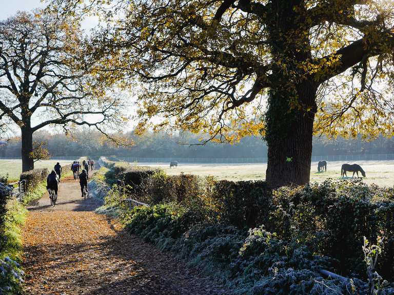 Great London Gravel Routes Komoot