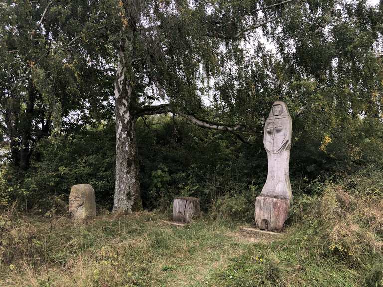 Wildkatzenpfad im Hainich | hike | Komoot