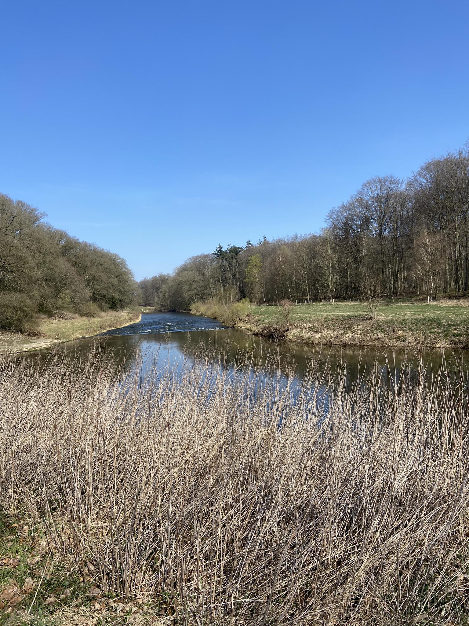 Töddenweg (Handelsweg - Deutscher Abschnitt 🇩🇪) | Wanderung | Komoot