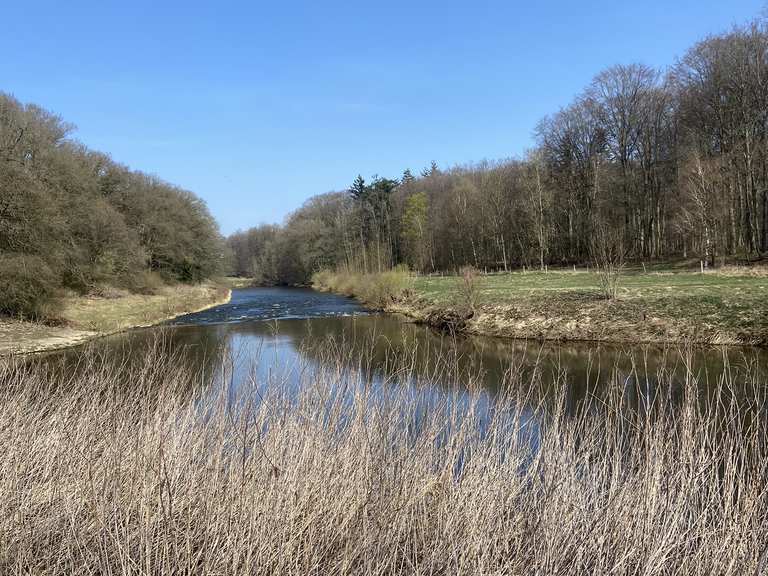 Töddenweg (Handelsweg - deutscher Abschnitt 🇩🇪) | Wanderung | Komoot