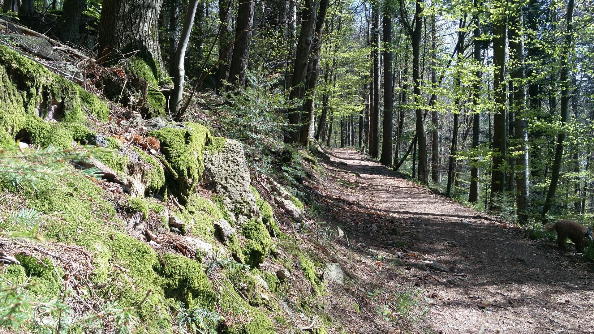 Ebersteinburg-Rundweg | Wanderung | Komoot