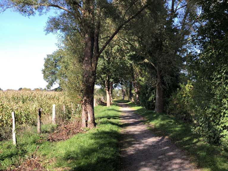DAS ist ein GRÜNER RING nochmal andersrum Stadtpark, Niendorfer