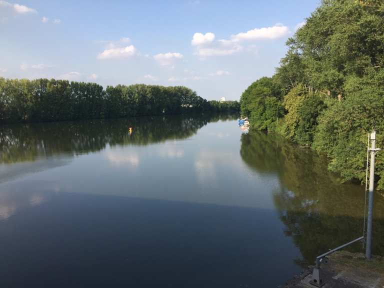 frankfurt am main nach mainz mit dem fahrrad