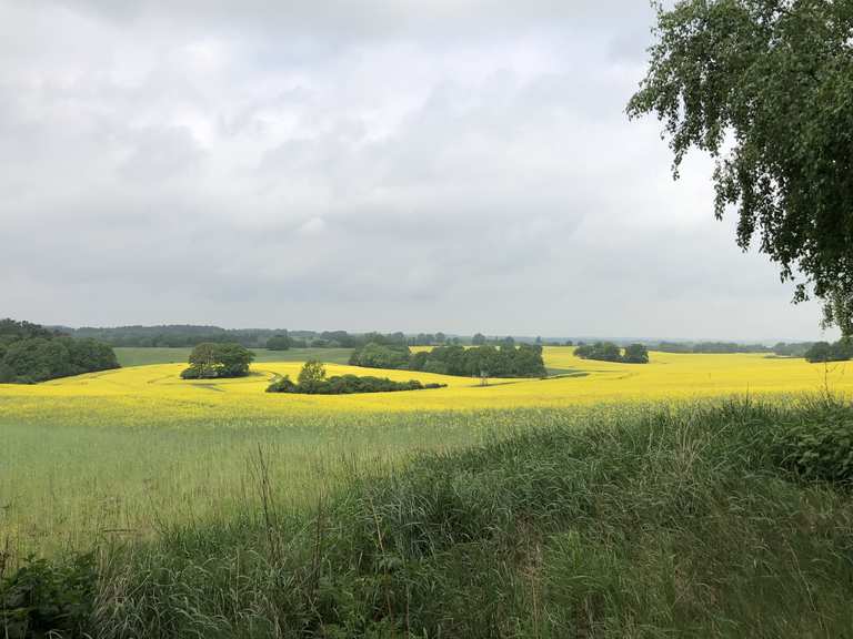 MecklenburgVorpommern Entlang der Havel von der Quelle bis zur Mündung 1. Etappe Kratzeburg