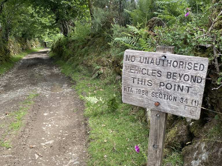 Dartmoor, Mary tavy, gibbet hill, lydford mountain bike ride Komoot