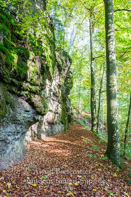 Baden-Baden-Ebersteinburg-Rundweg | Wanderung | Komoot