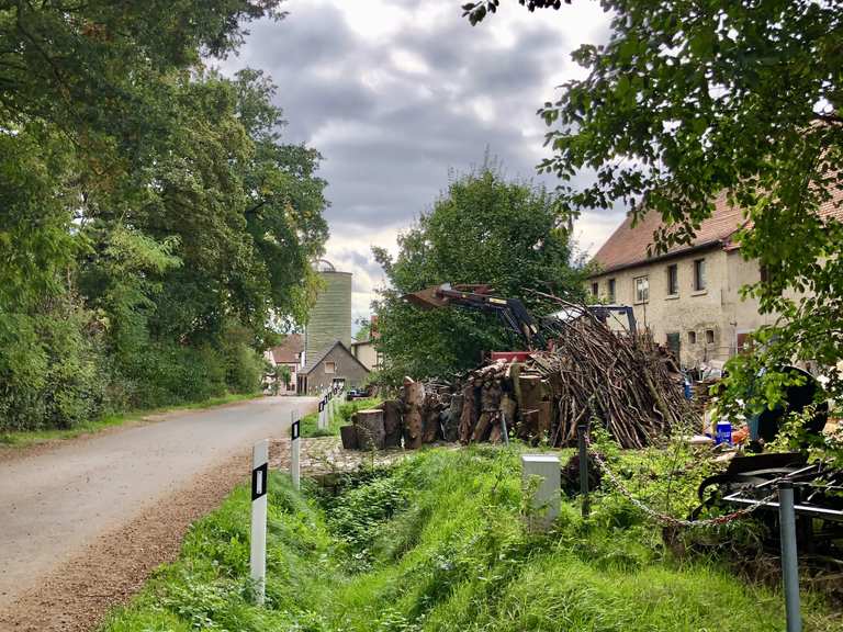 Fürth Rotwildgehege Burgfarrnbach Kreppendorf