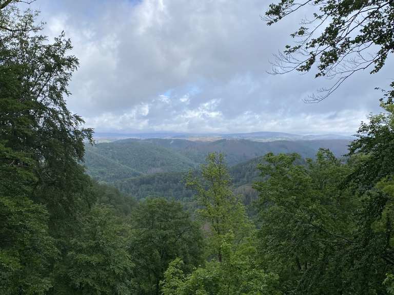 Wiesenbeker Teich und seine Umgebung Wanderung Komoot