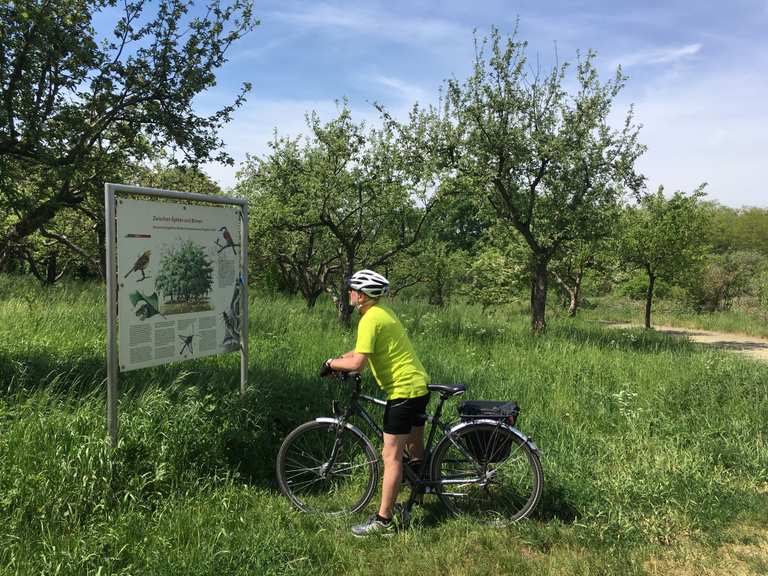 fahrrad hohen neuendorf