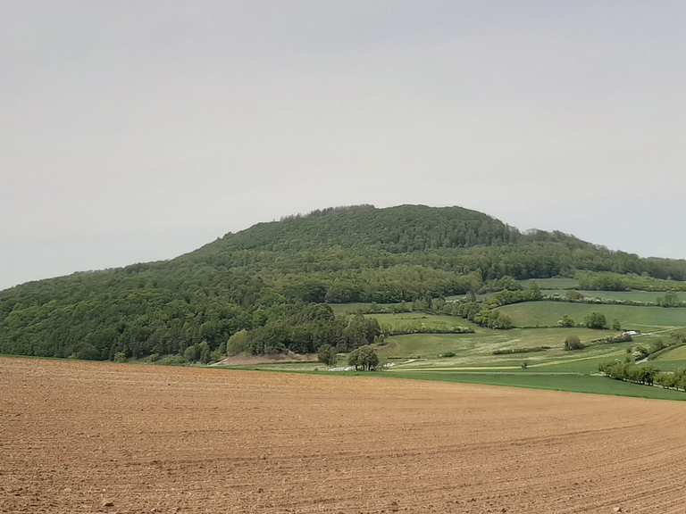 Kassel-Steig, Etappe 1 (Herkules-Weimar) | hike | Komoot