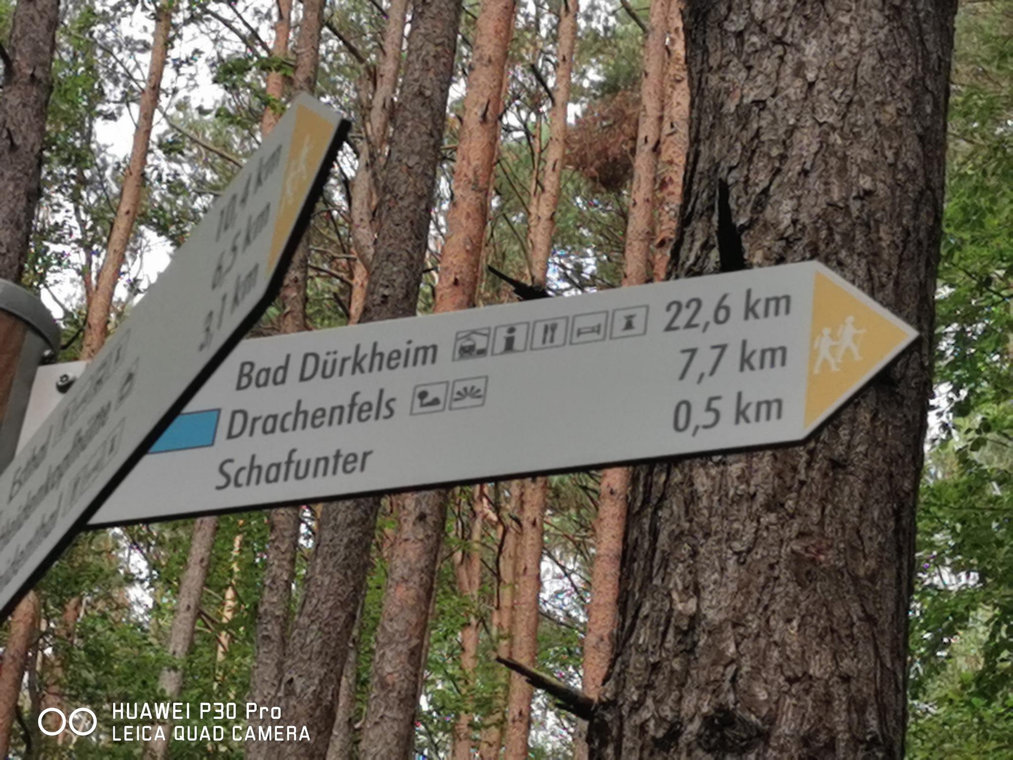 Weidenthal - Schafunter - Buchentor - Friedrichsbrunnen - Lambi ...