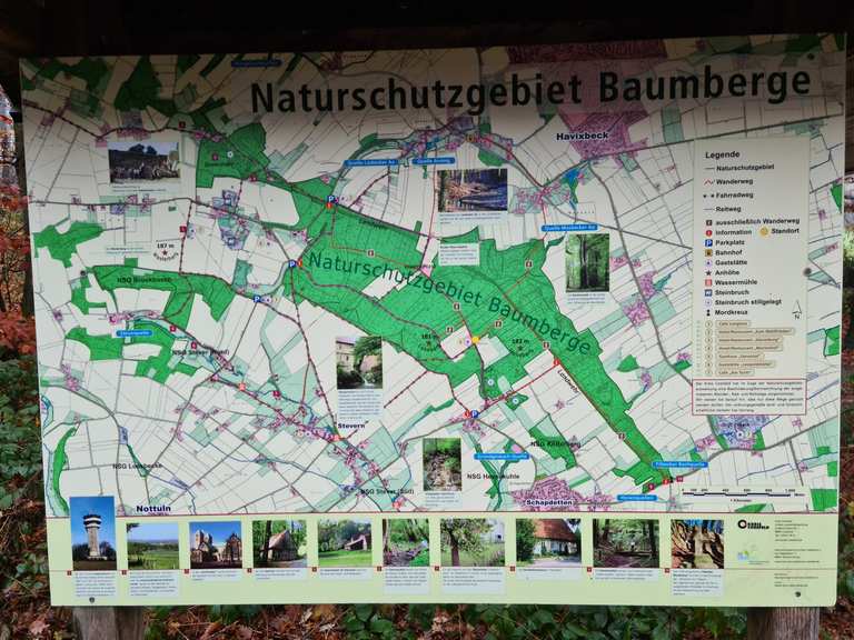 🇩🇪 COE: NSG Baumberge 22.11.2020 🥾 | Wanderung | Komoot