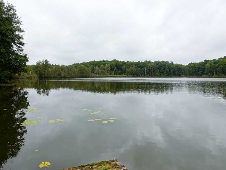 Lobetal, Hoffnungstaler Stiftung Lobetal mit Meche und Plötzensee (BAR