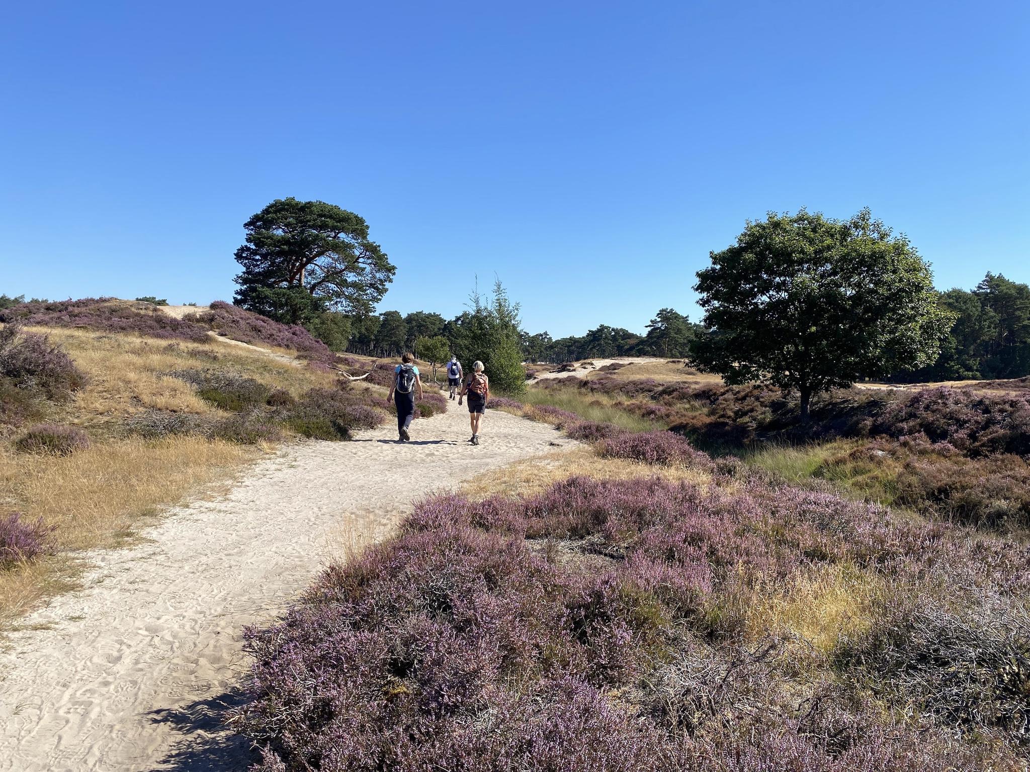 WANDELEN: De Mooiste Wandelroutes In Utrecht | Komoot