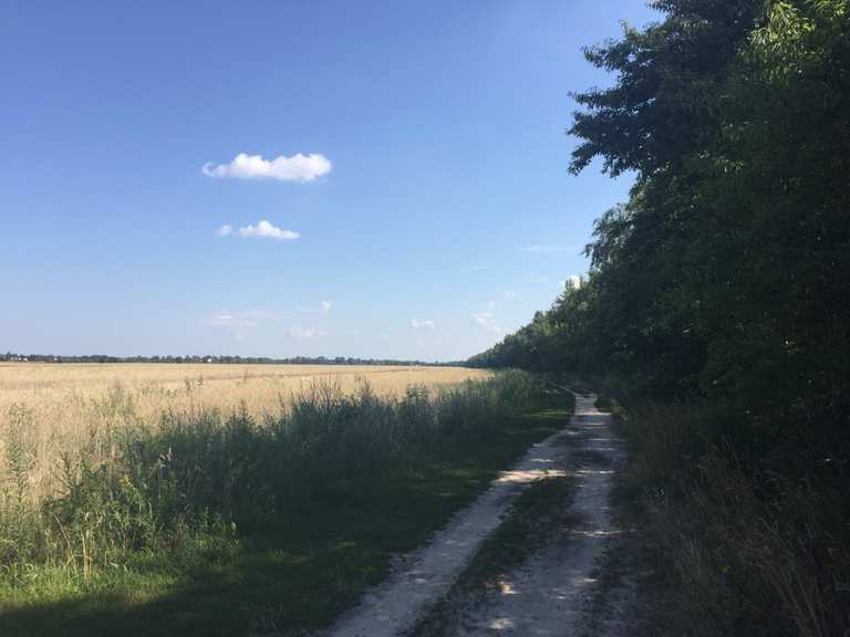 mauerweg mit fahrrad