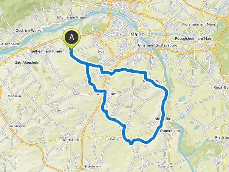 Amiche Radweg ab Wackernheim_Runde_65 km | Fahrradtour | Komoot