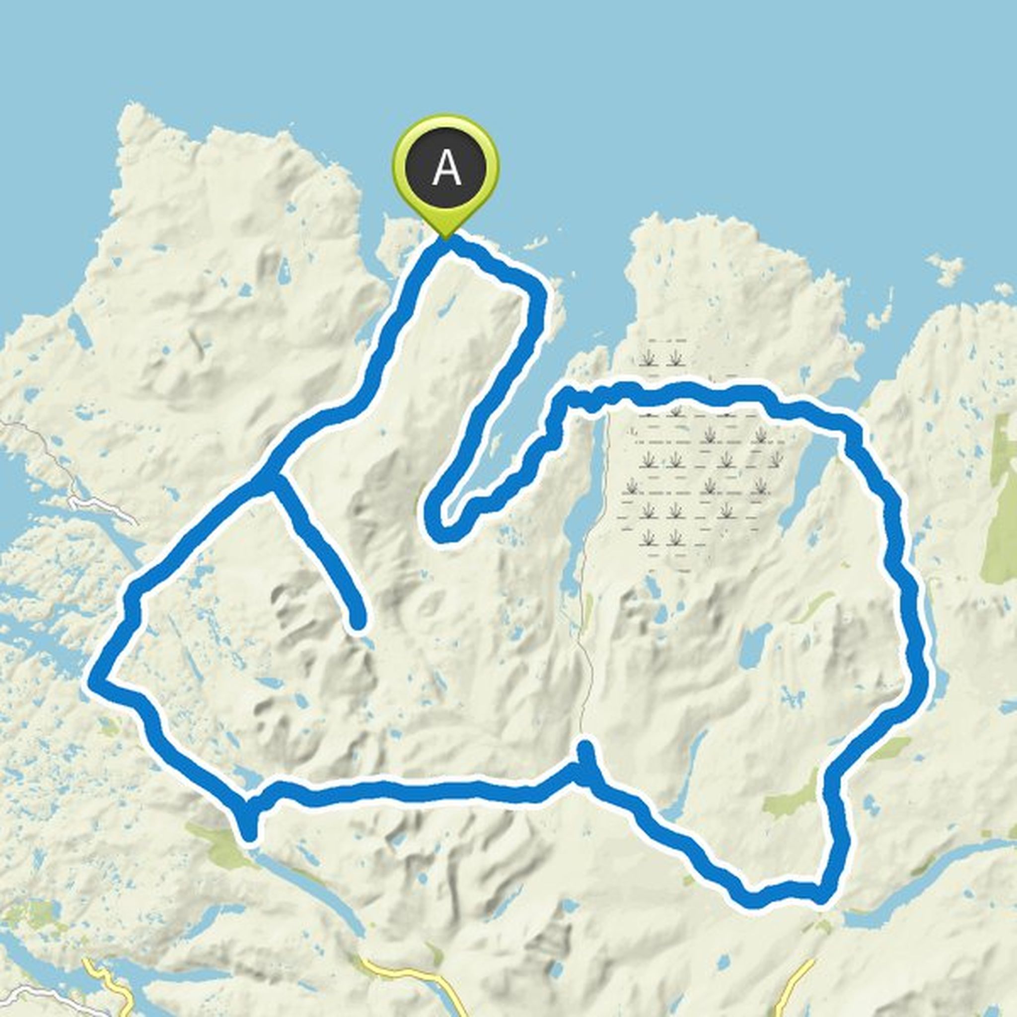 map_image