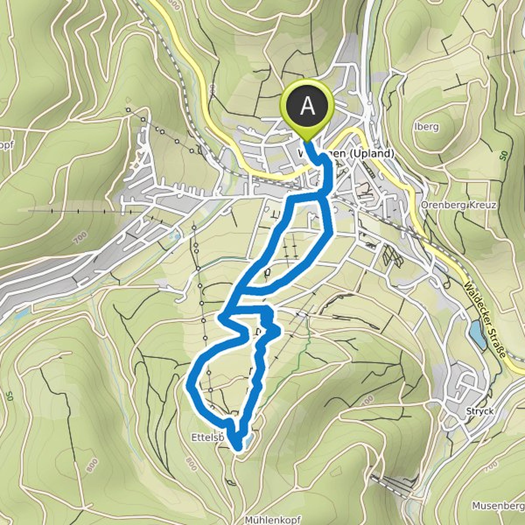 map_image