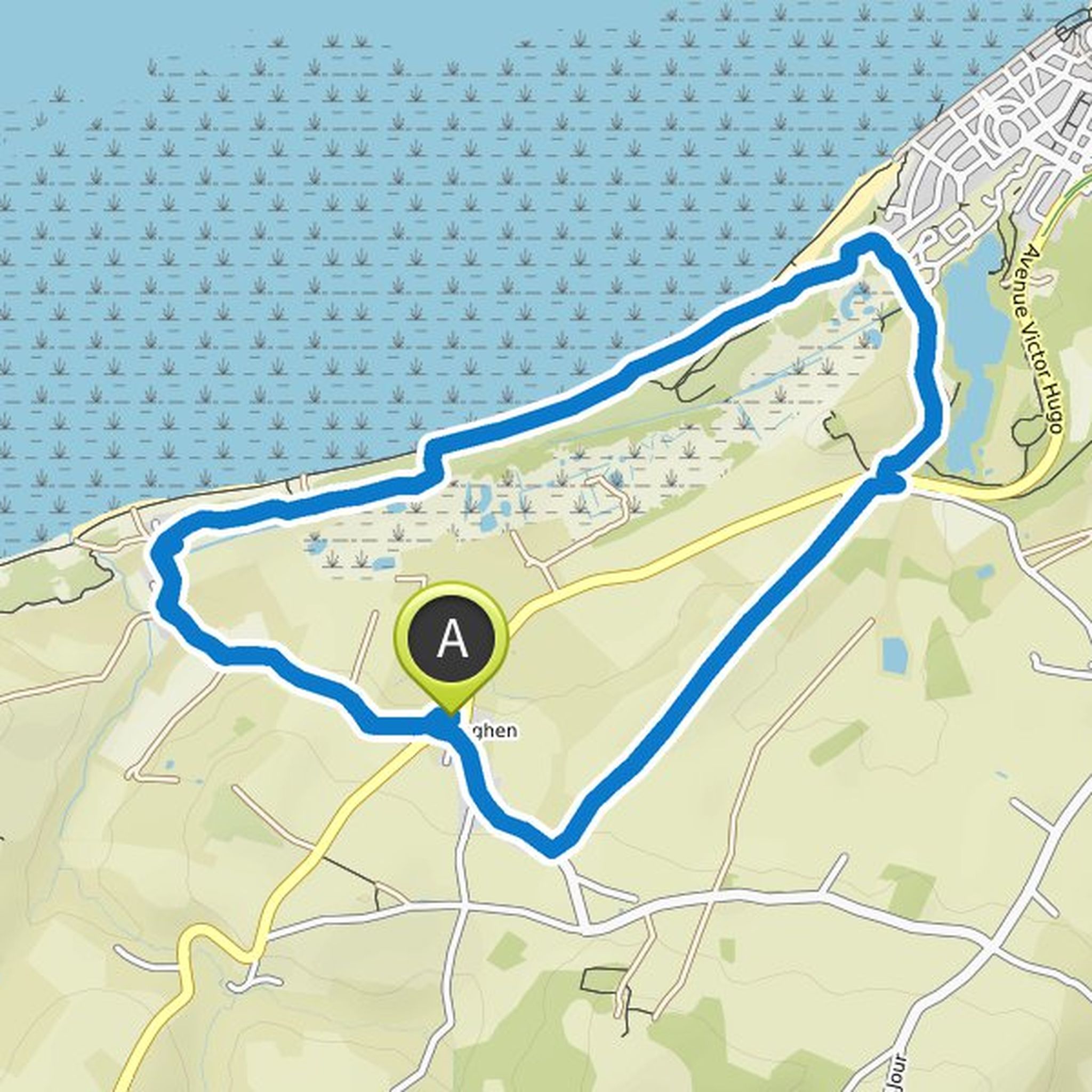 map_image