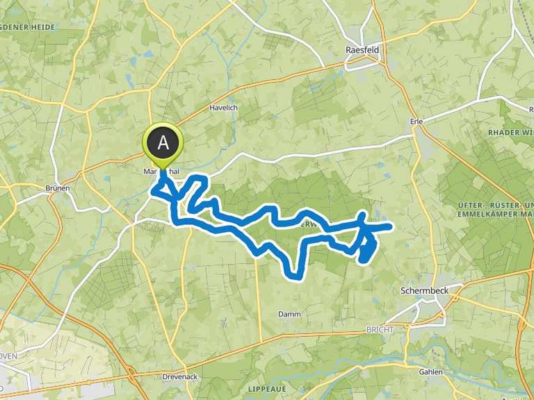 Waldtour 🌳 durch den Dämmerwald ab Mariental | Fahrradtour | Komoot