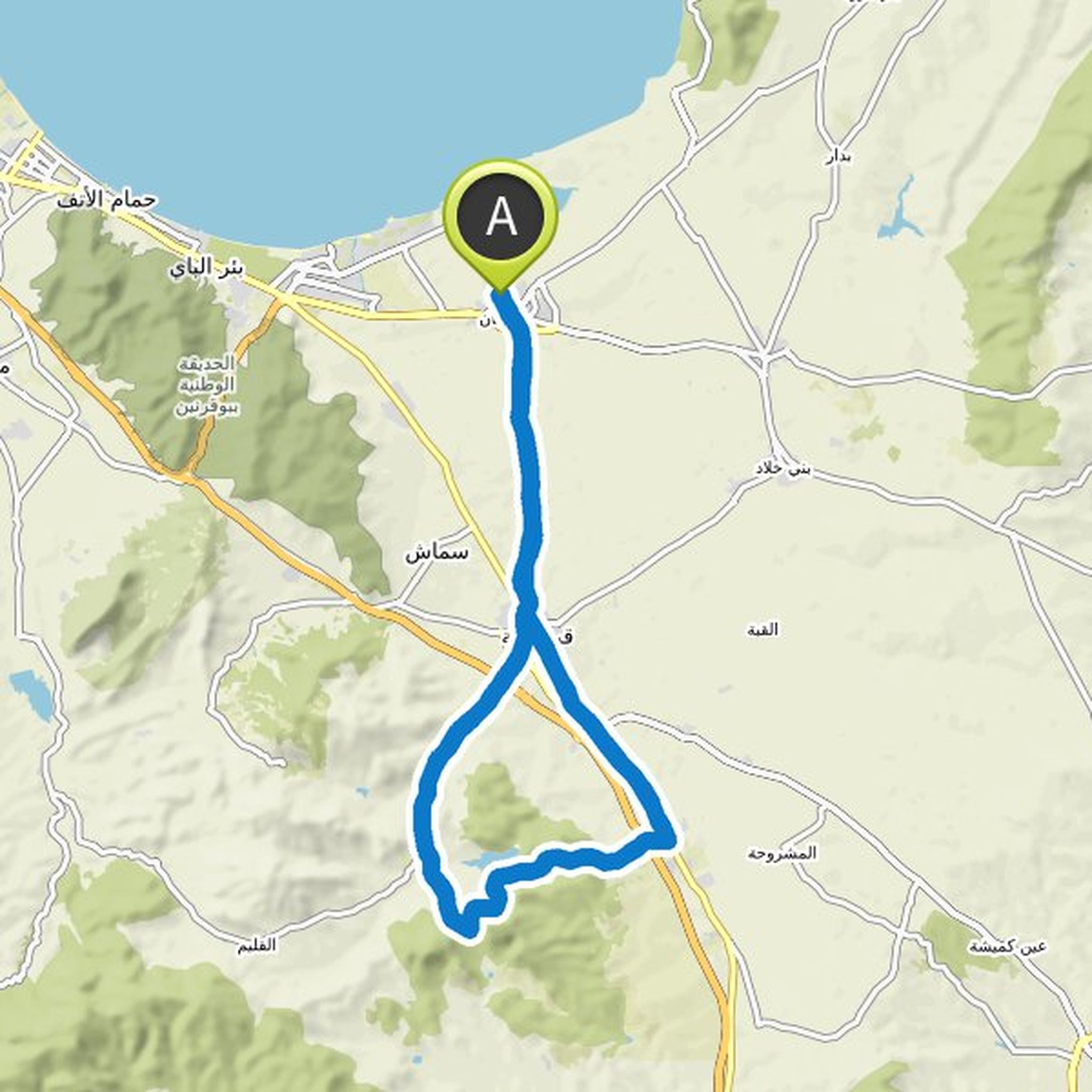 map_image