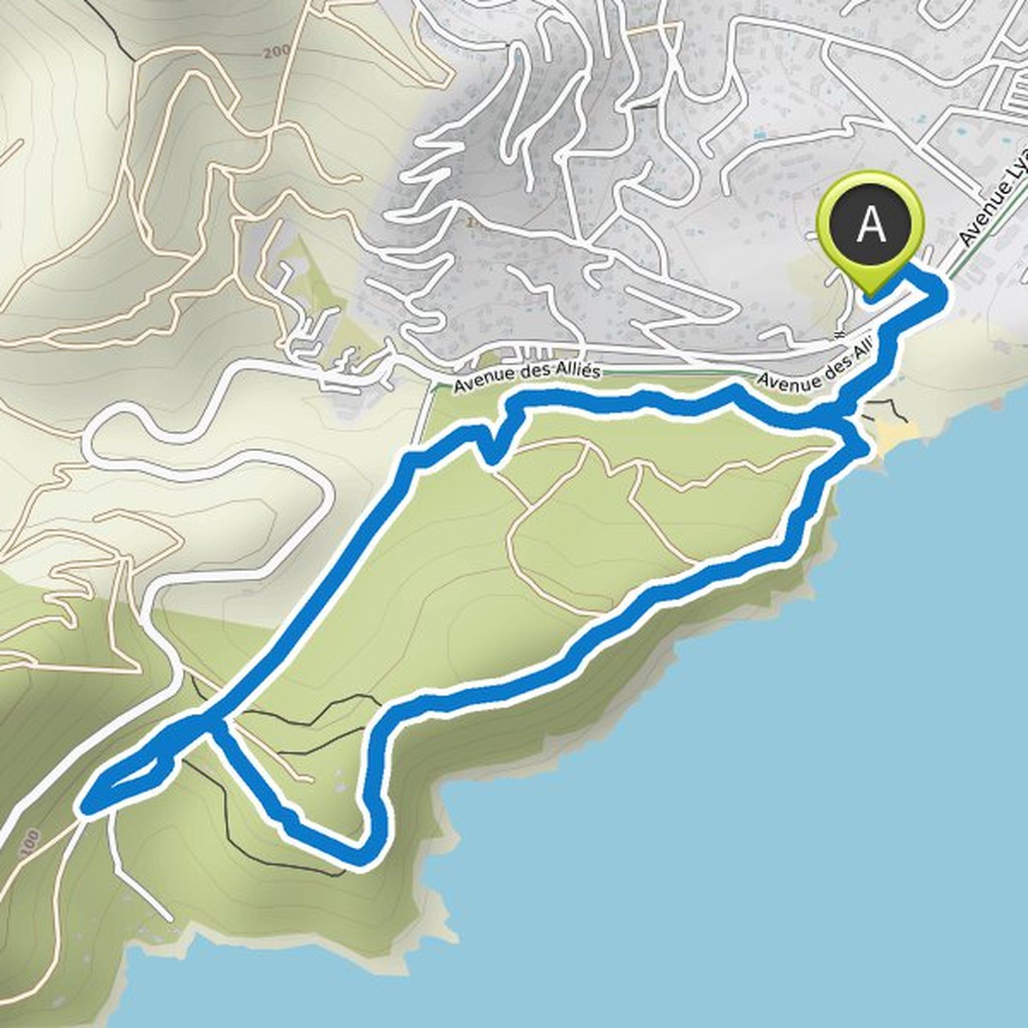 map_image