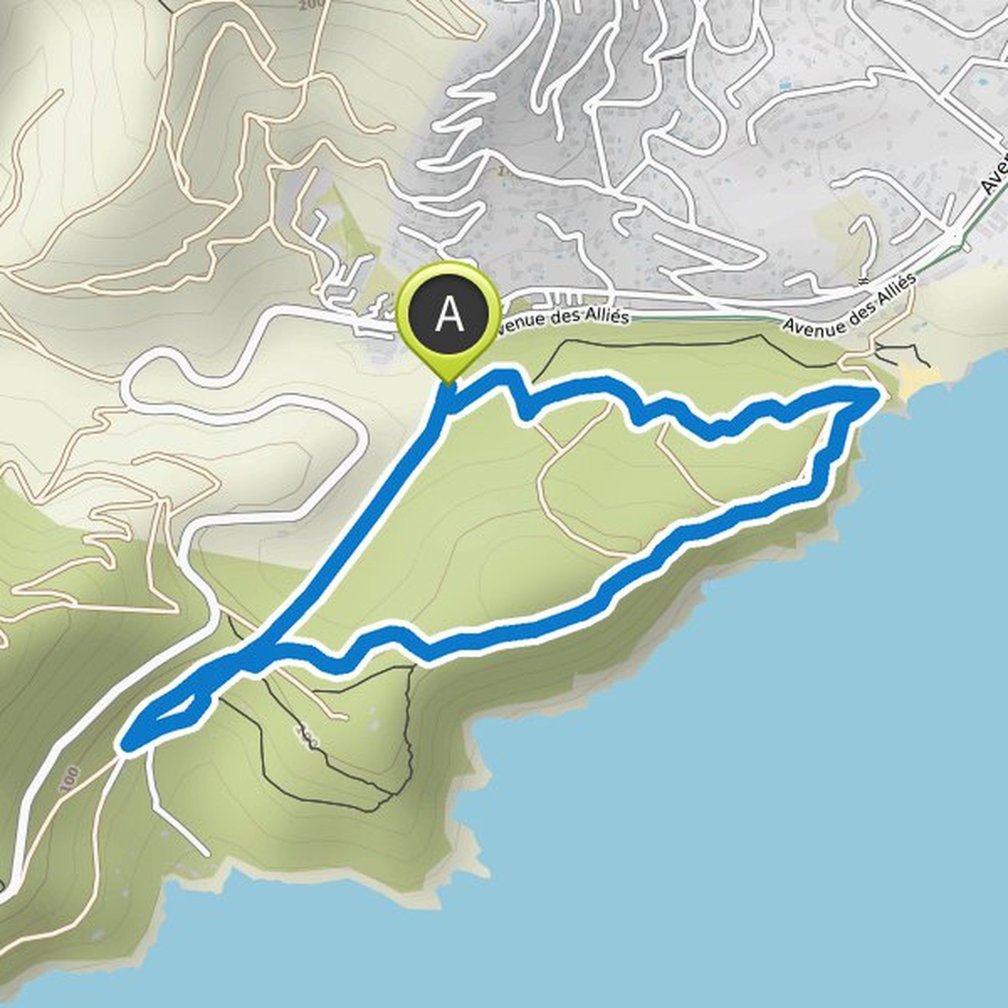 map_image