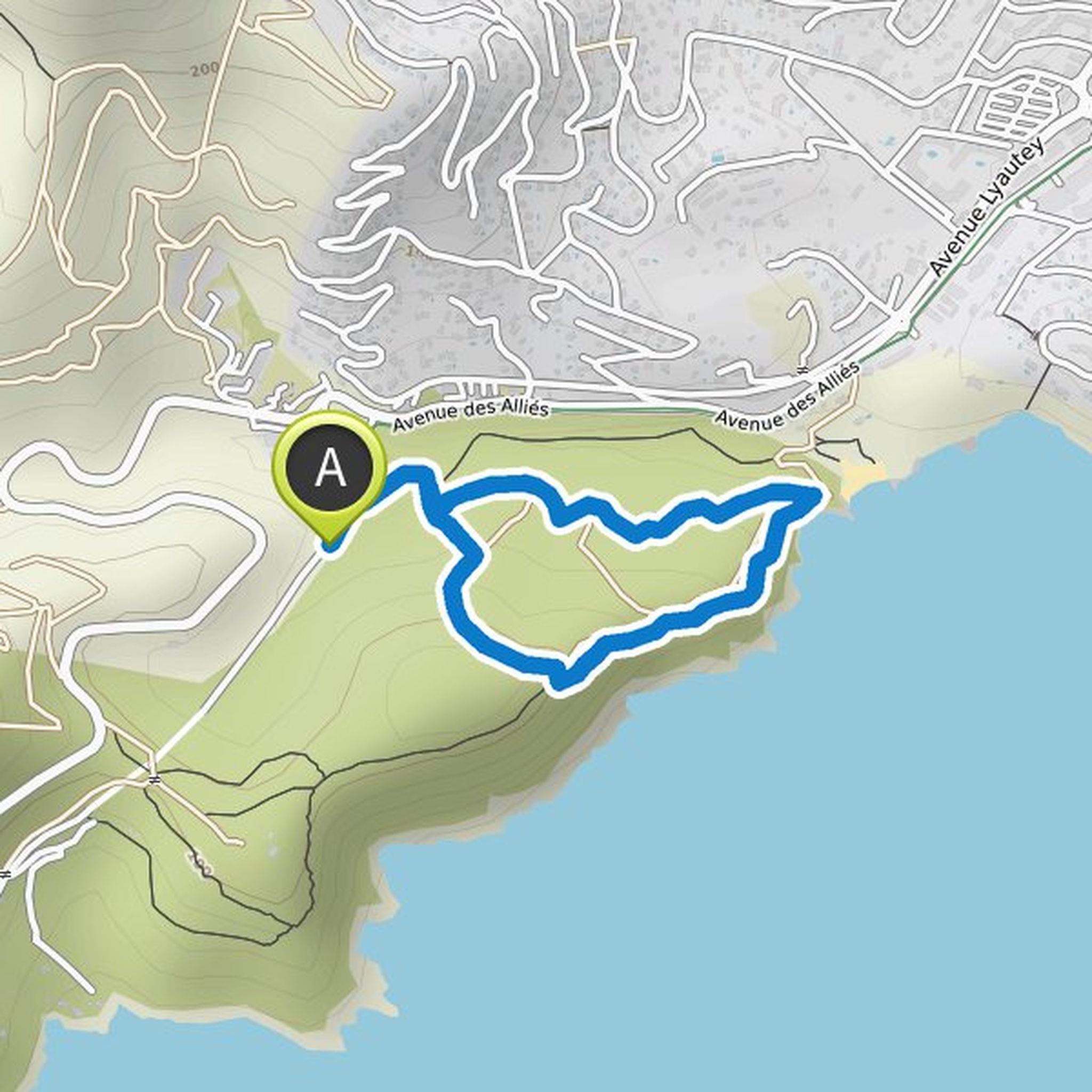 map_image