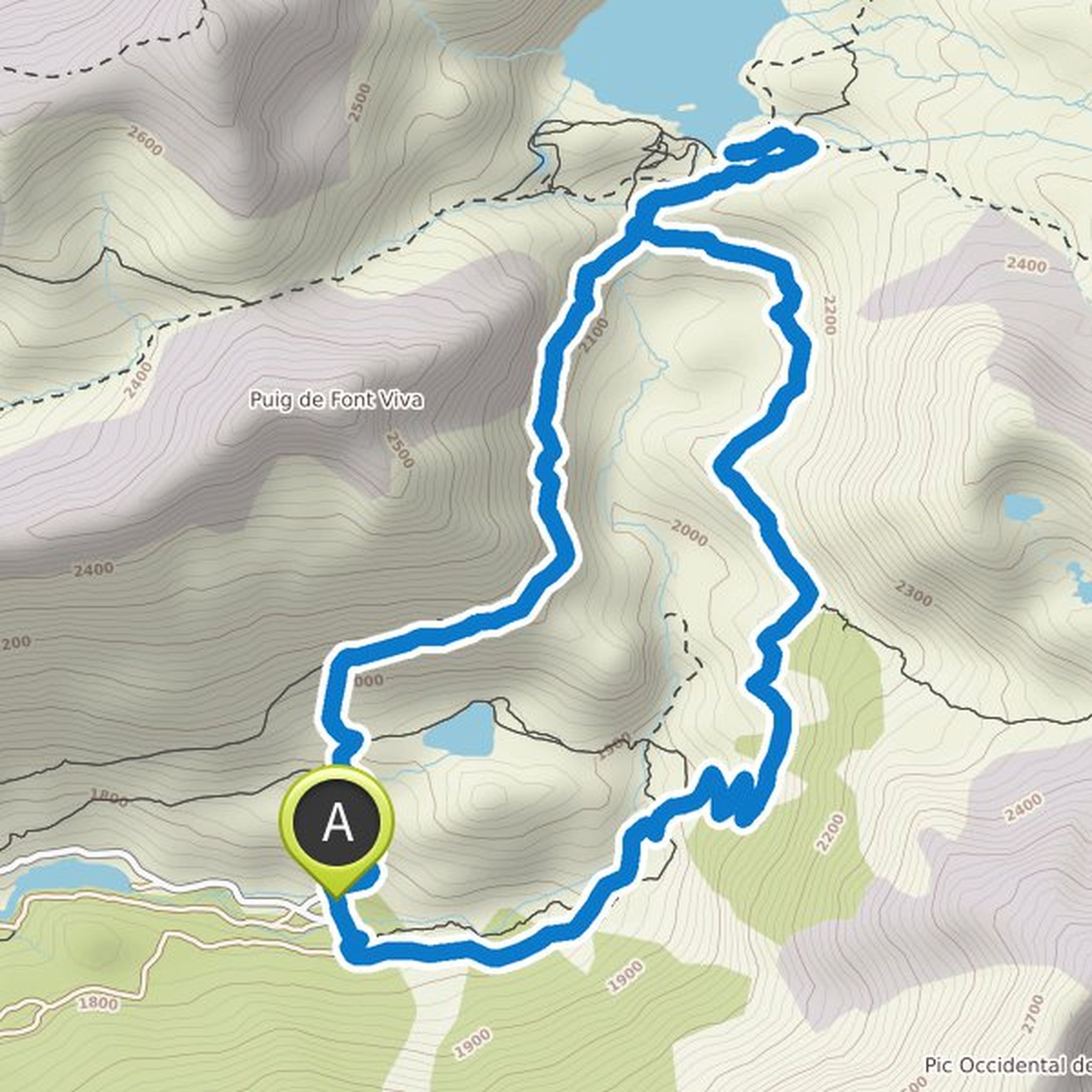 map_image