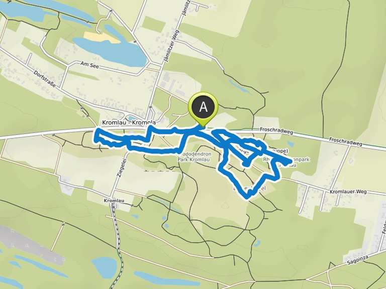 Rundgang Rhododendronpark Kromlau | Wanderung | Komoot