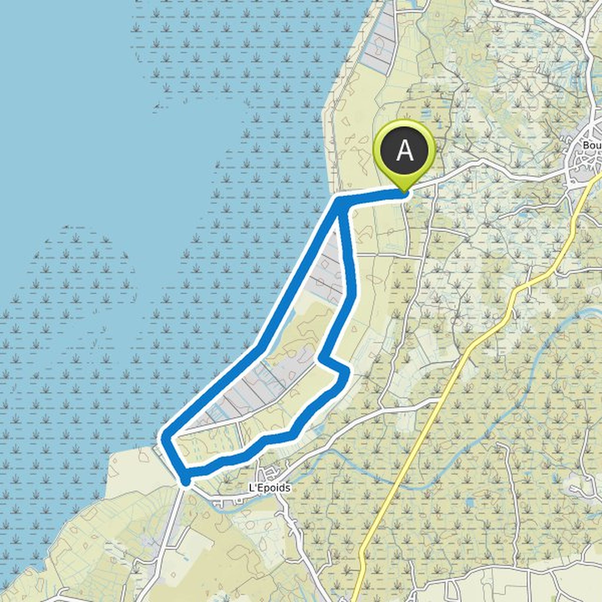 map_image