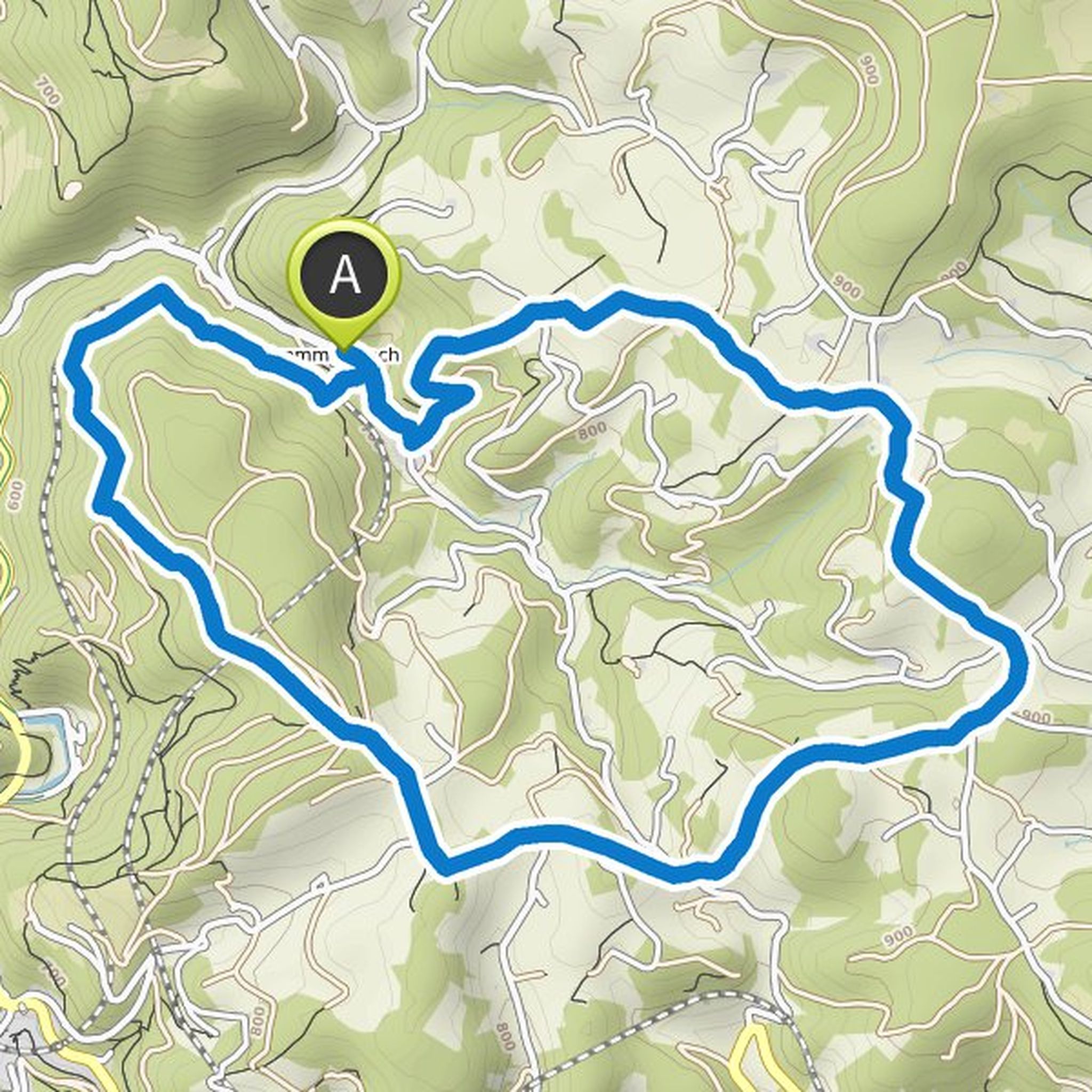 map_image