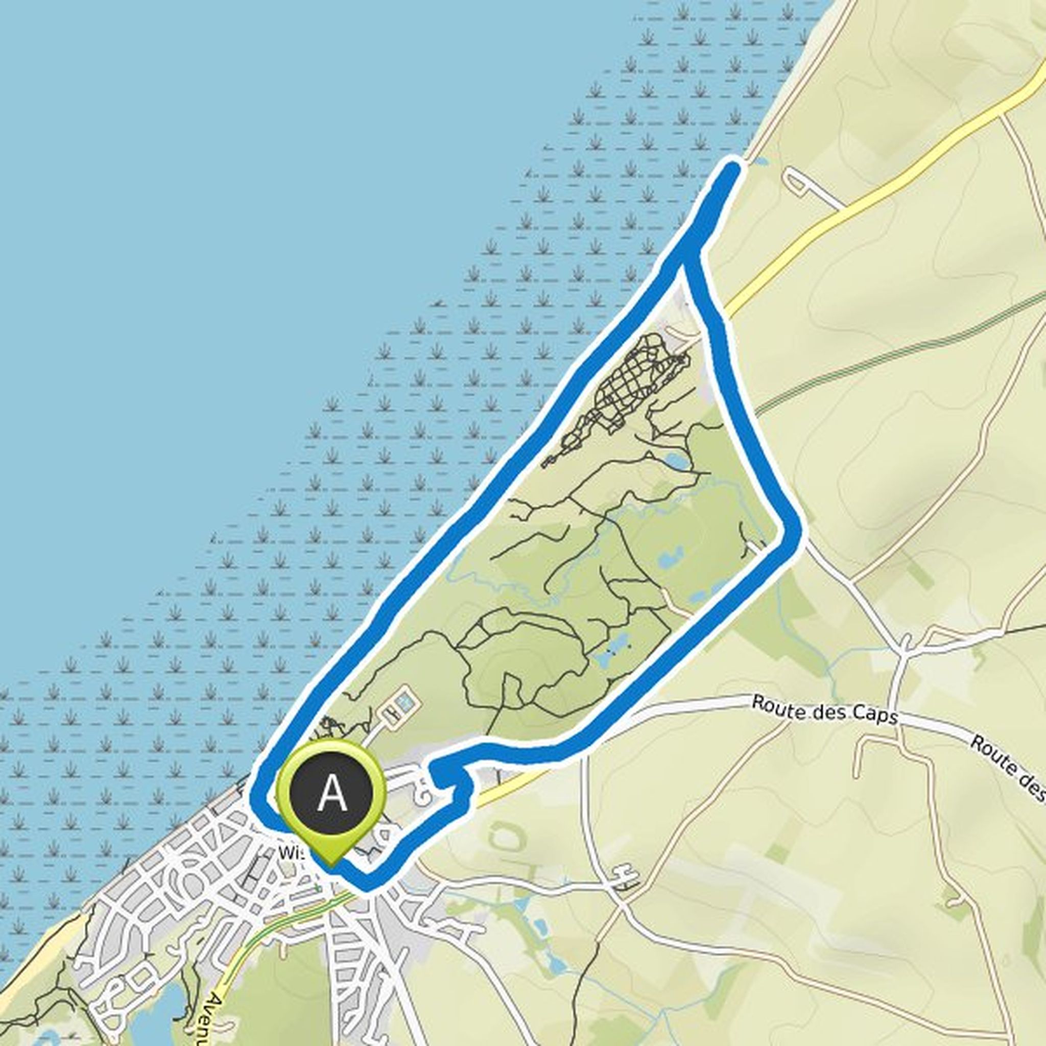 map_image