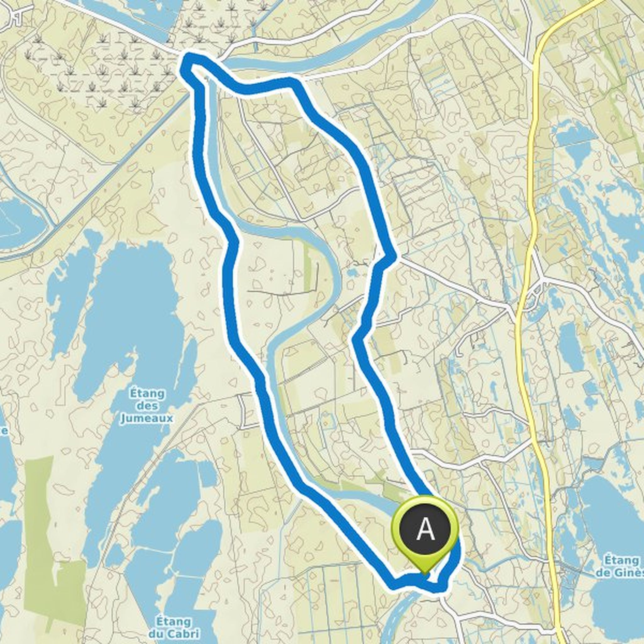 map_image