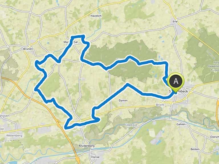 Brechter Heide und Dämmerwald von Schermbeck | Fahrradtour | Komoot