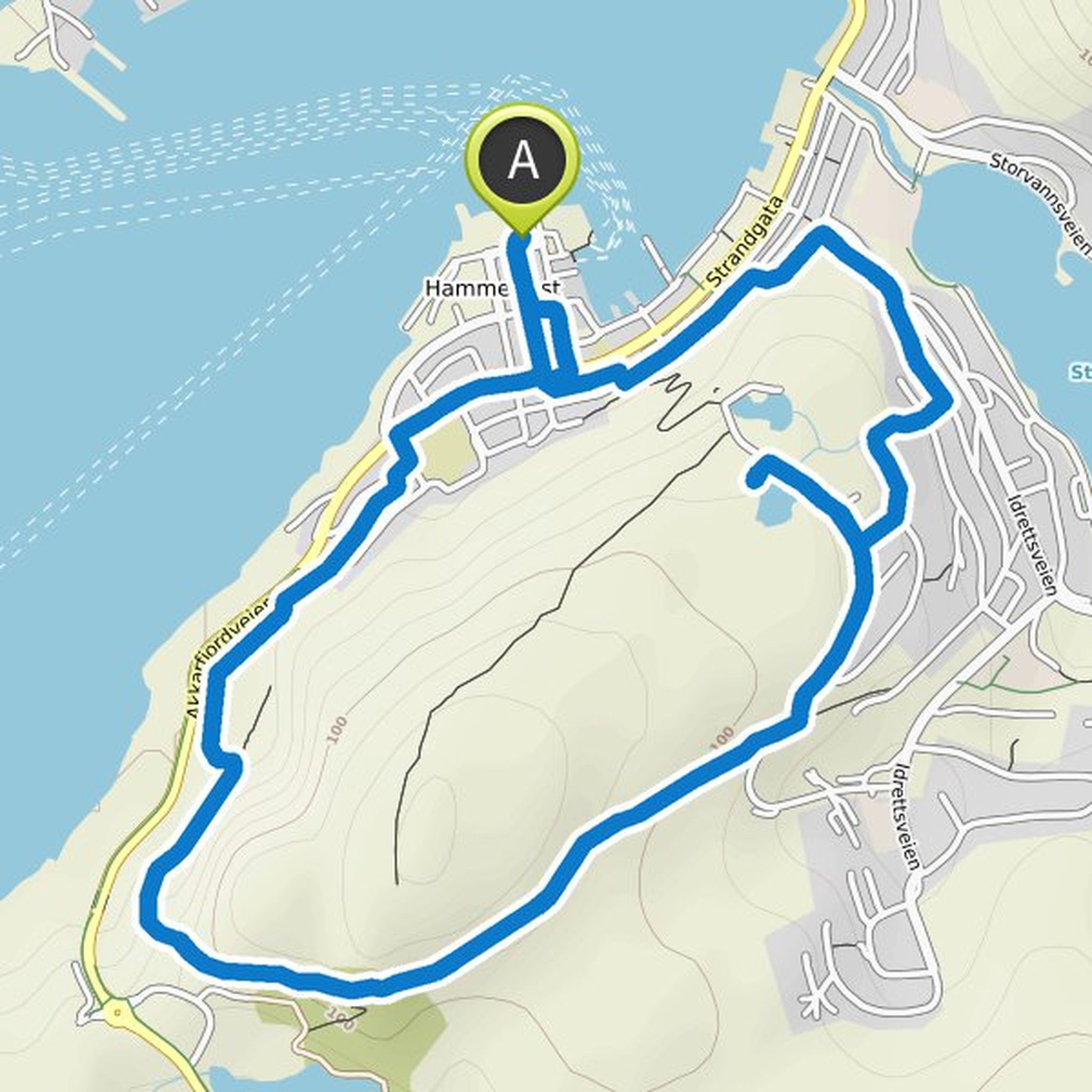 map_image