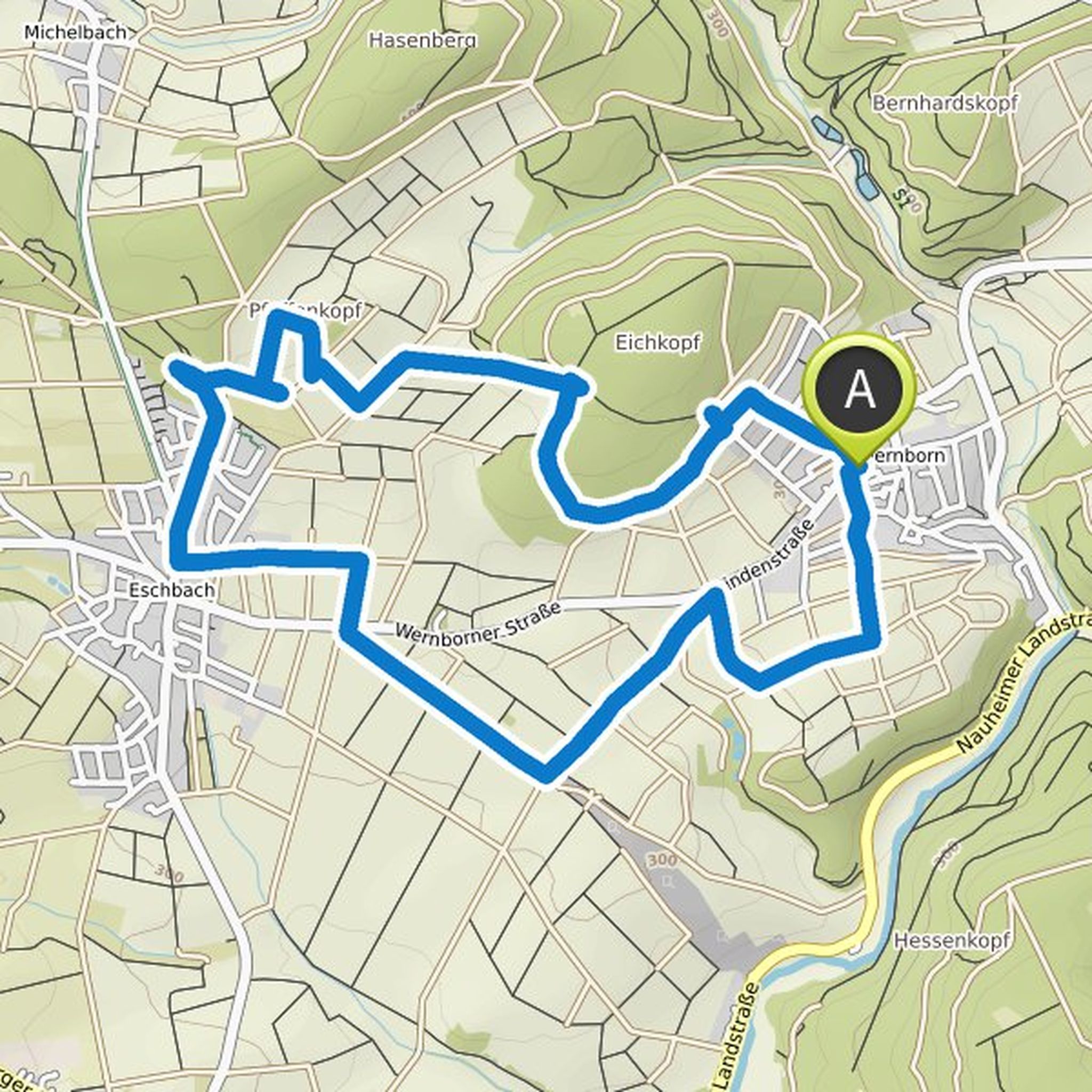 map_image