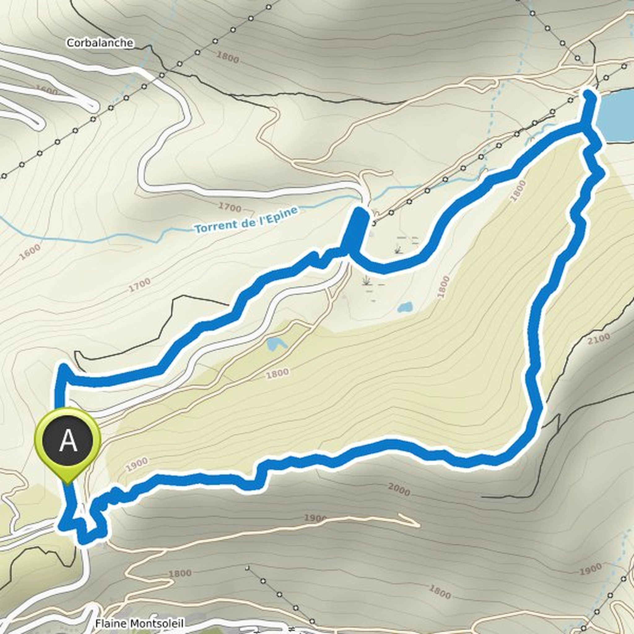 map_image
