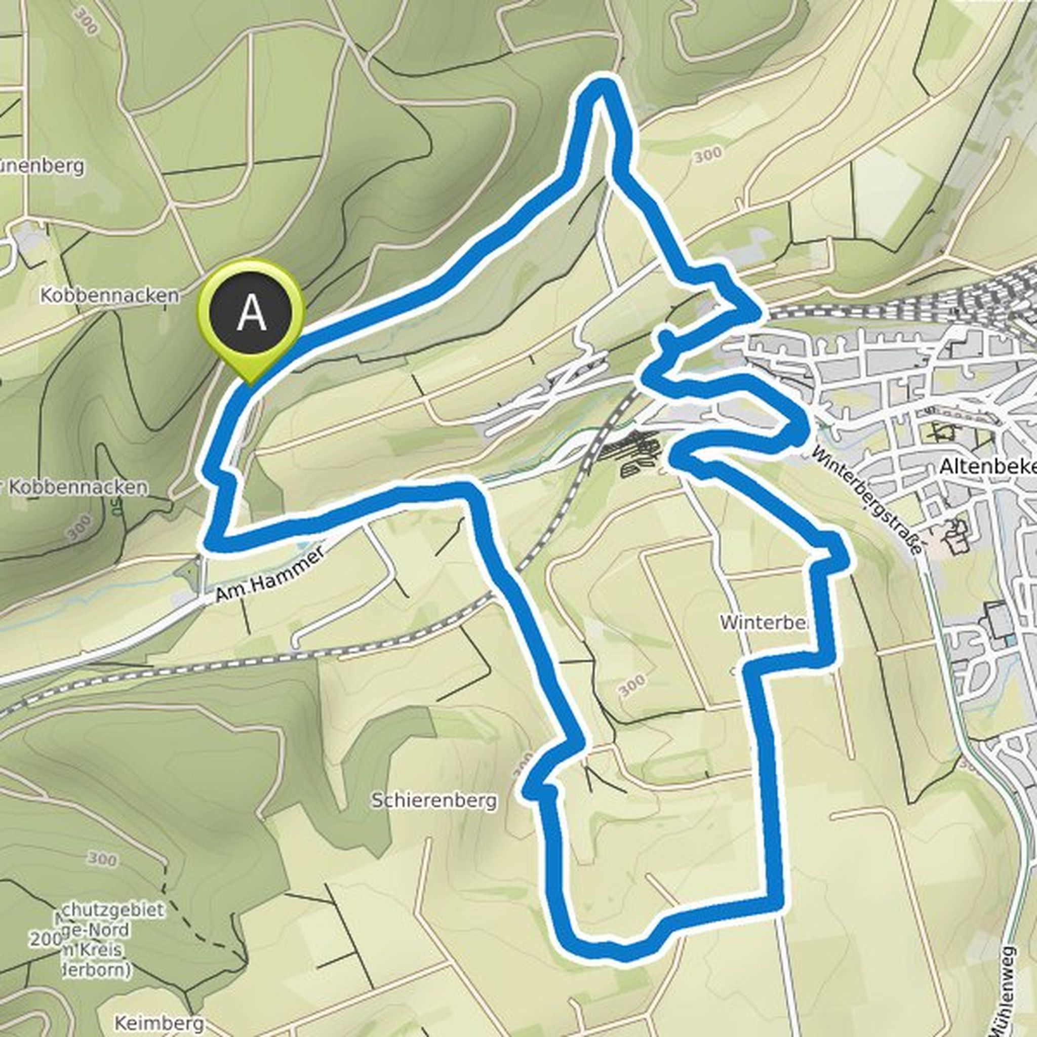 map_image