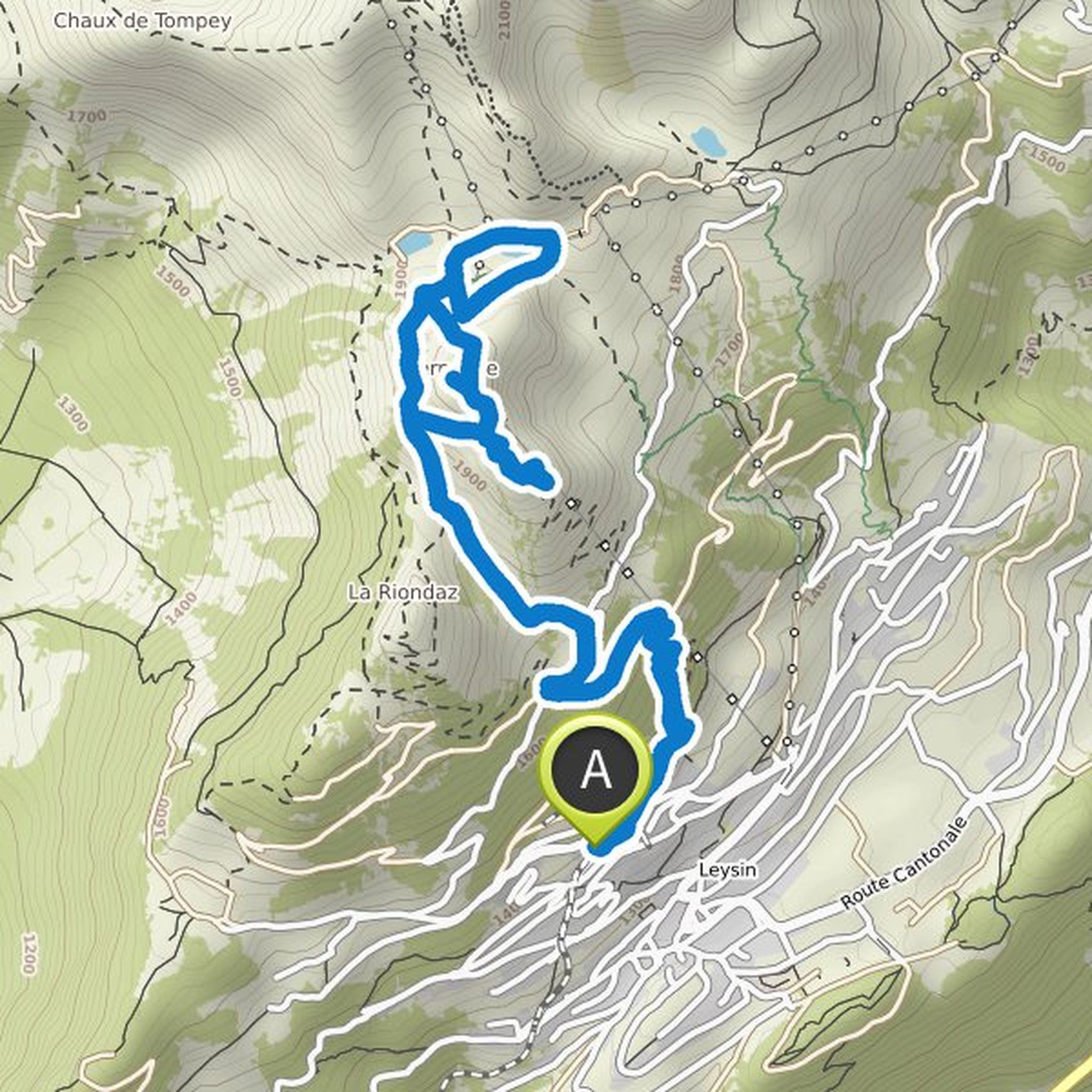map_image