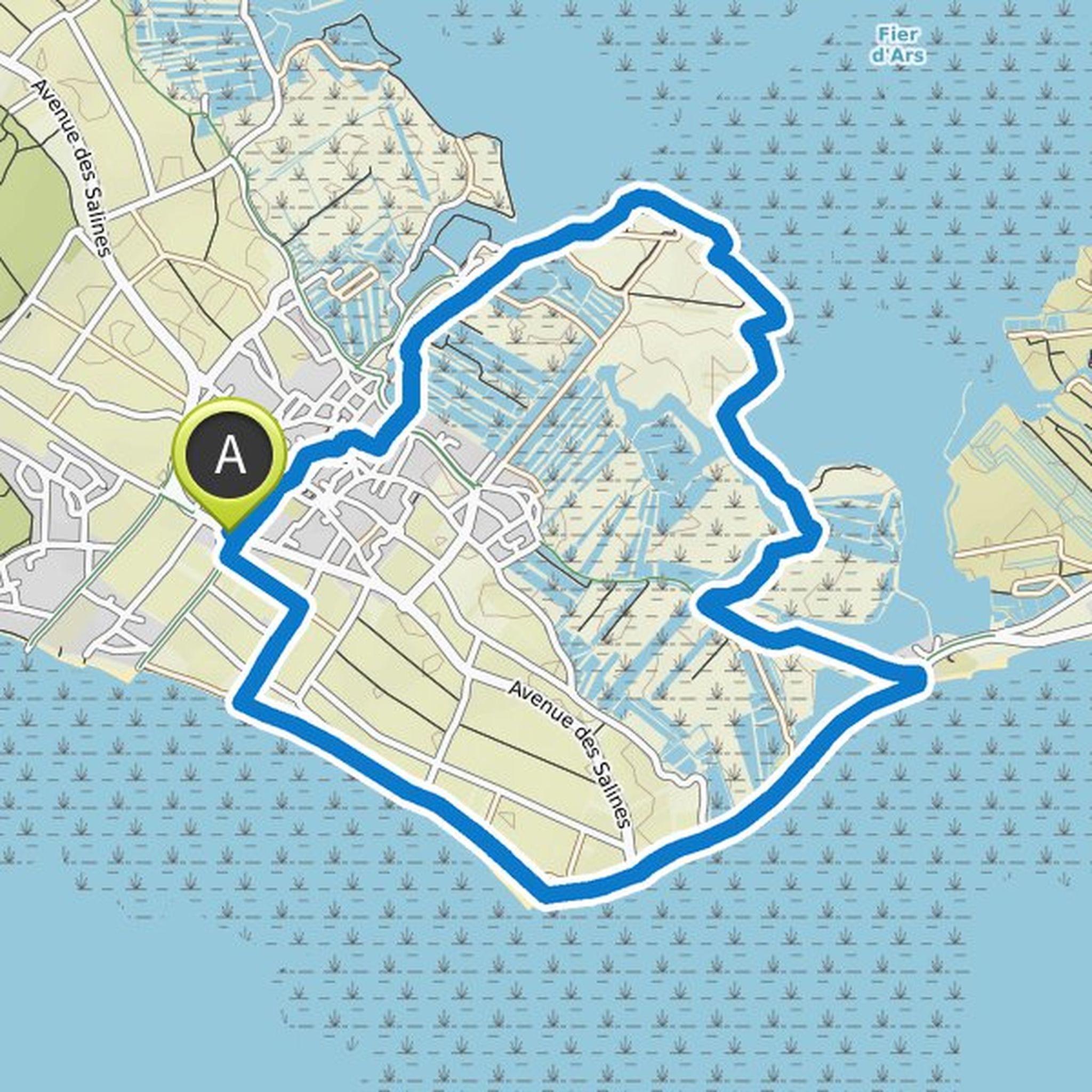 map_image
