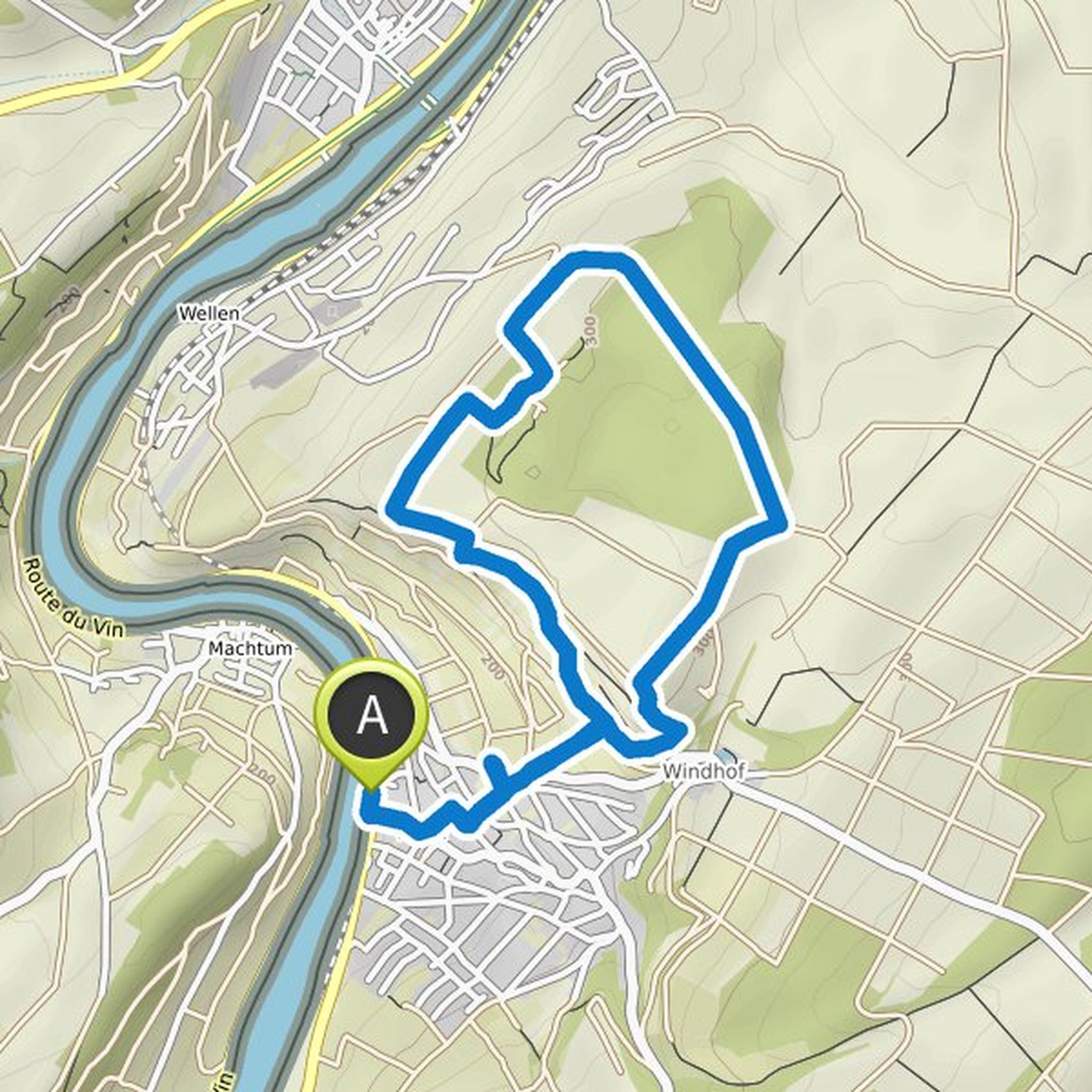 map_image