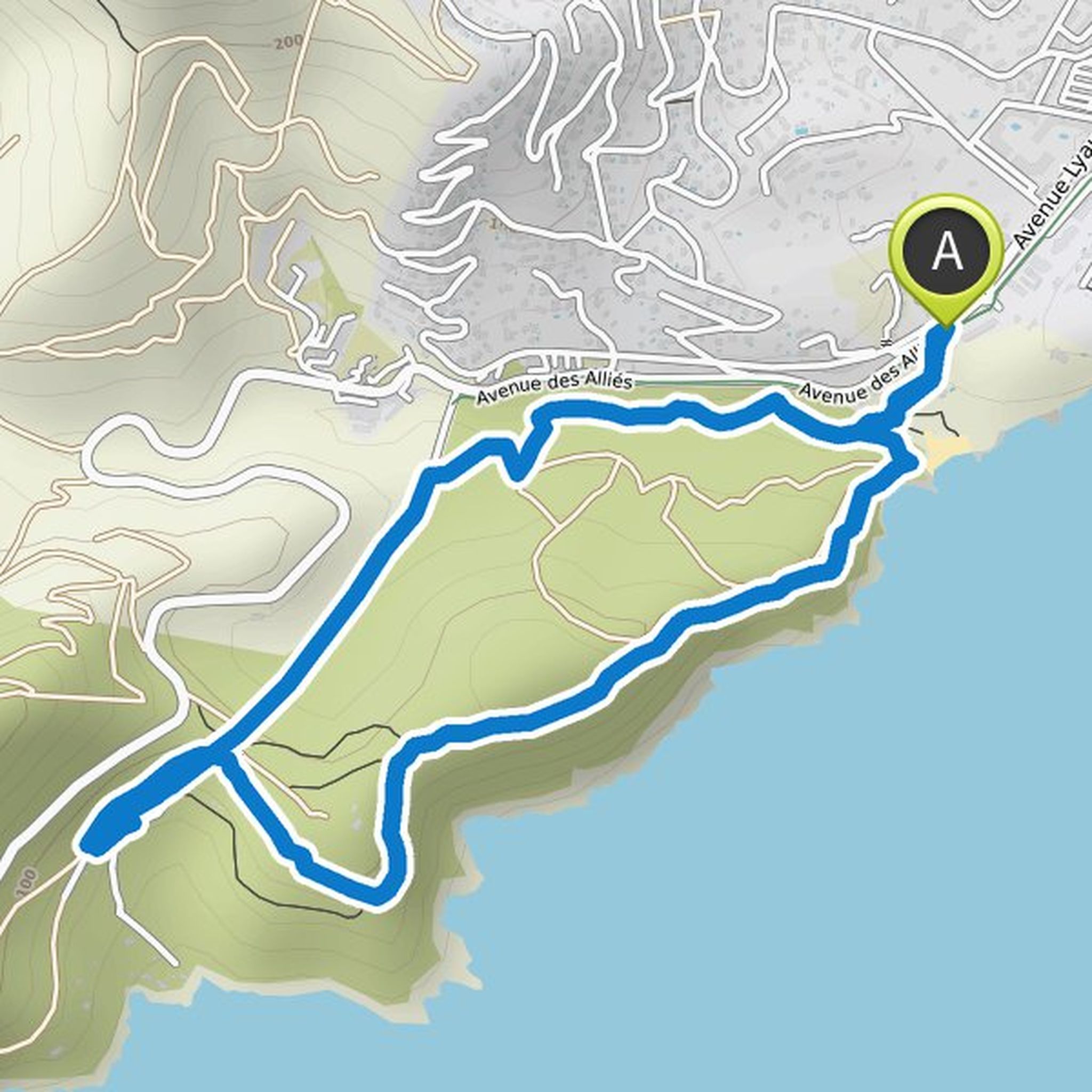map_image