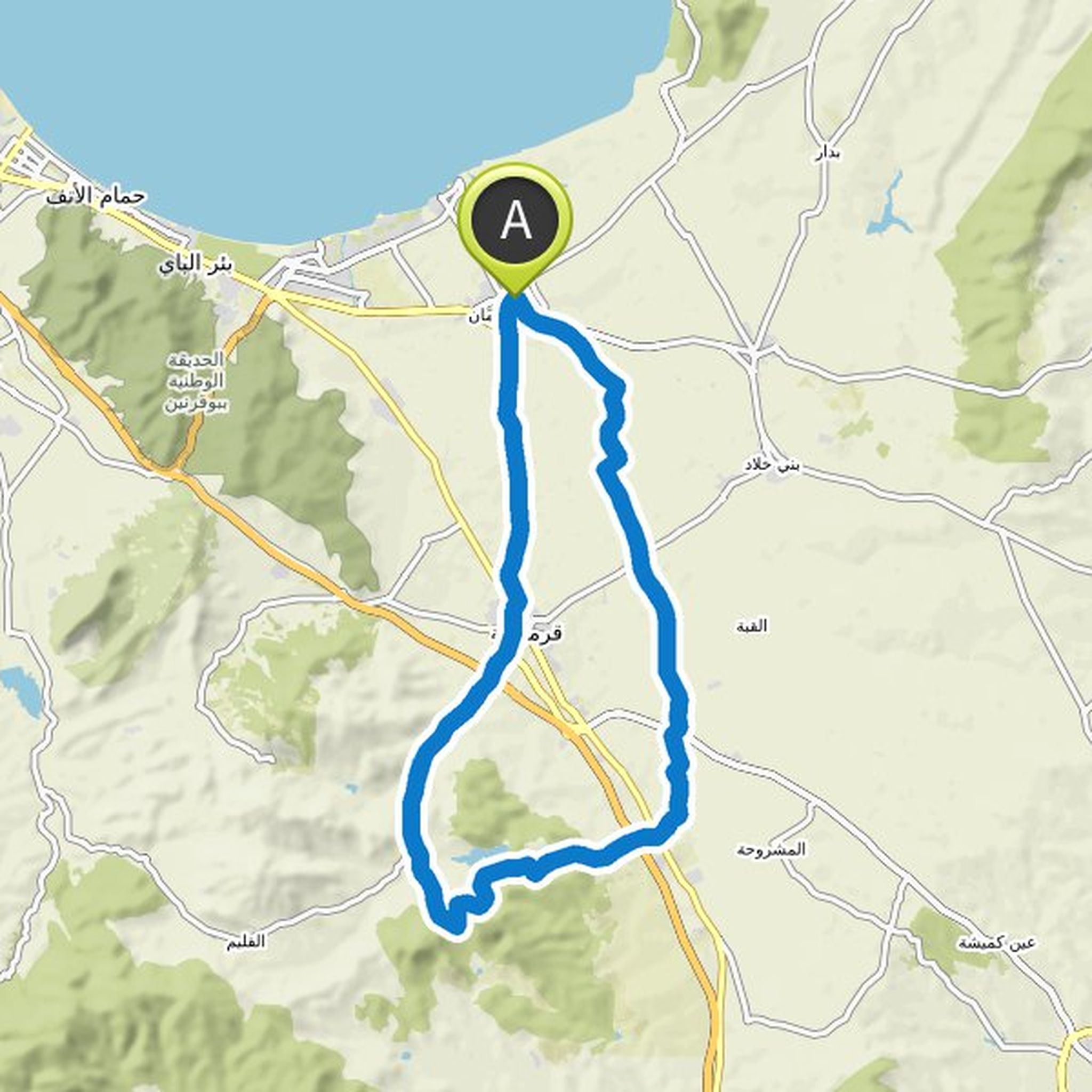 map_image