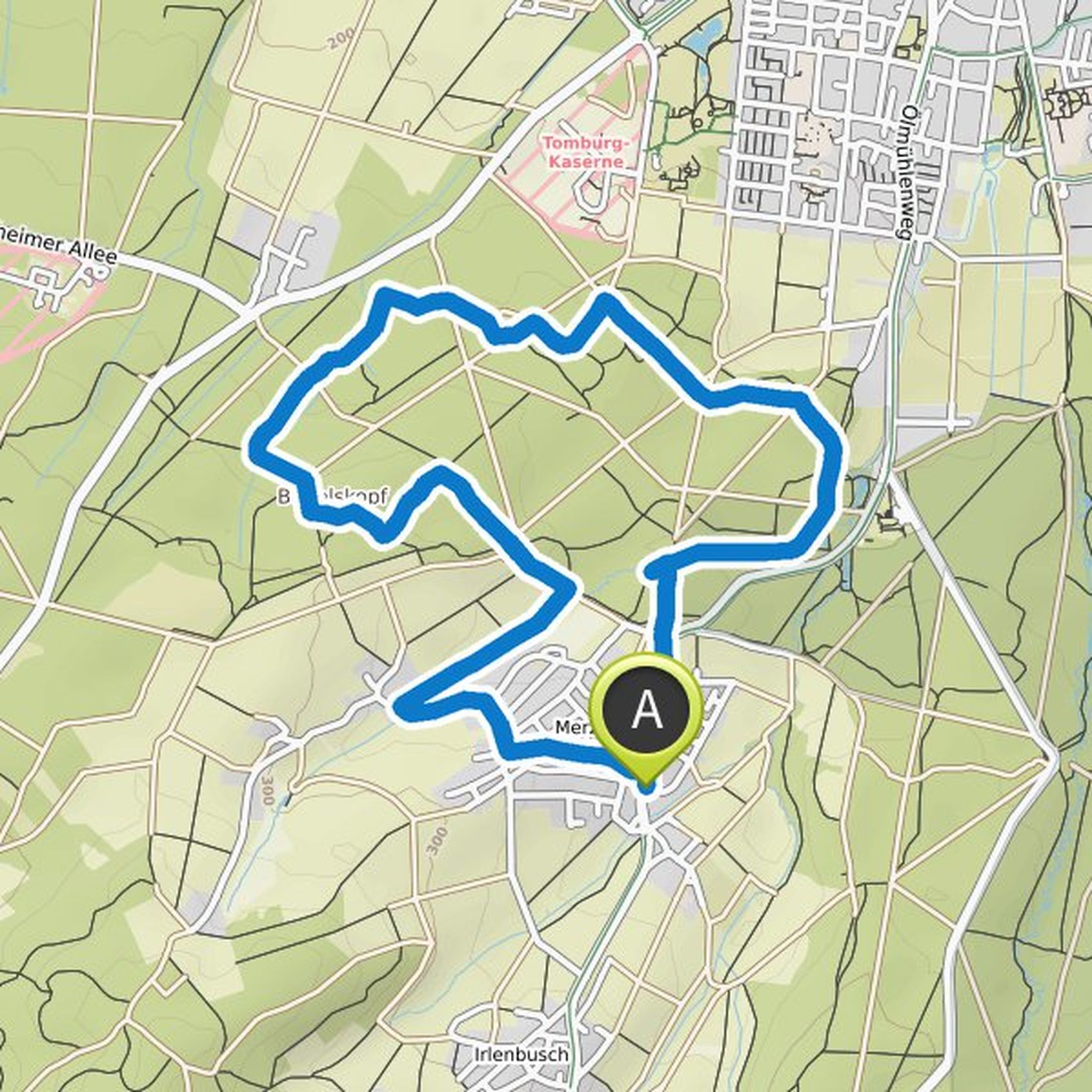 map_image