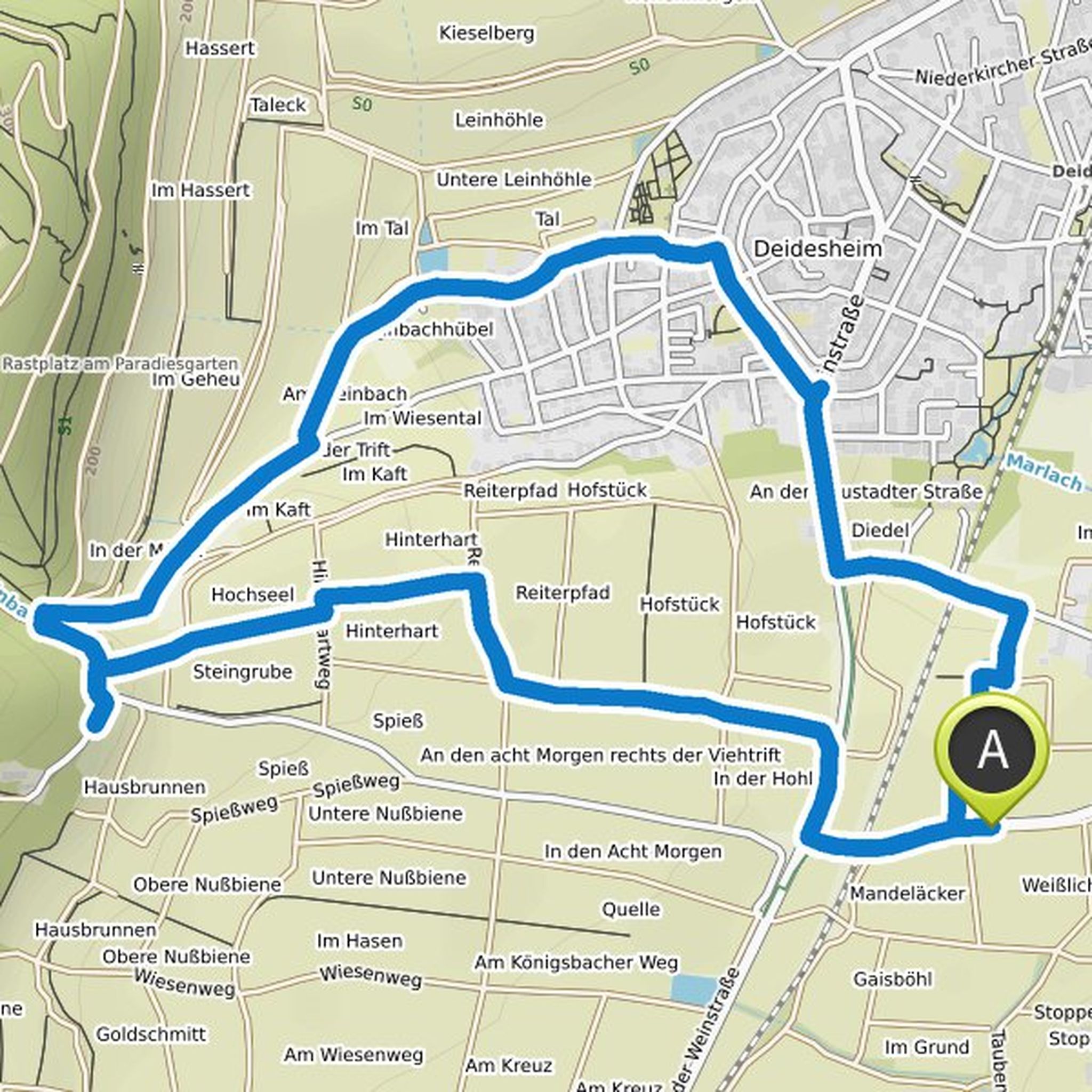 map_image
