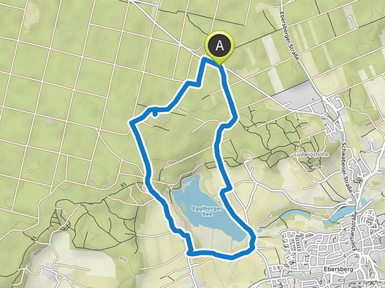 Durch den Ebersberger Forst zum Egglburger See – wandern in den