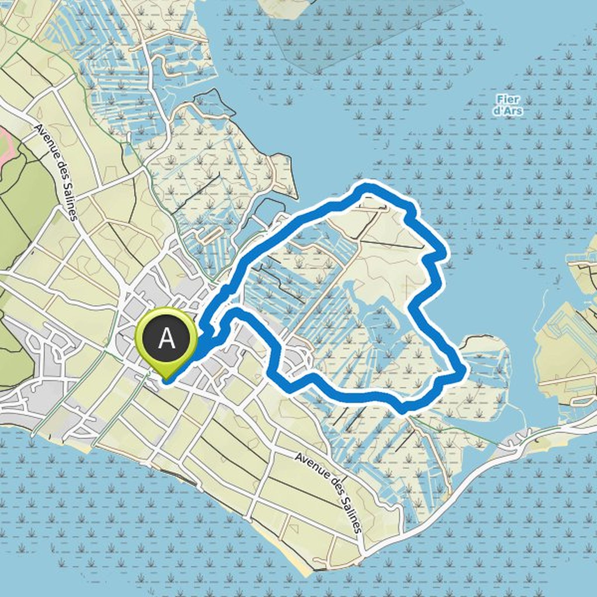map_image