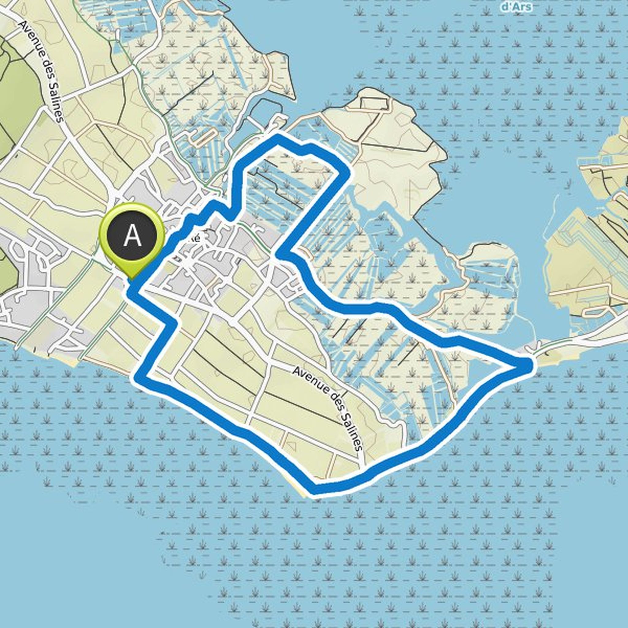 map_image