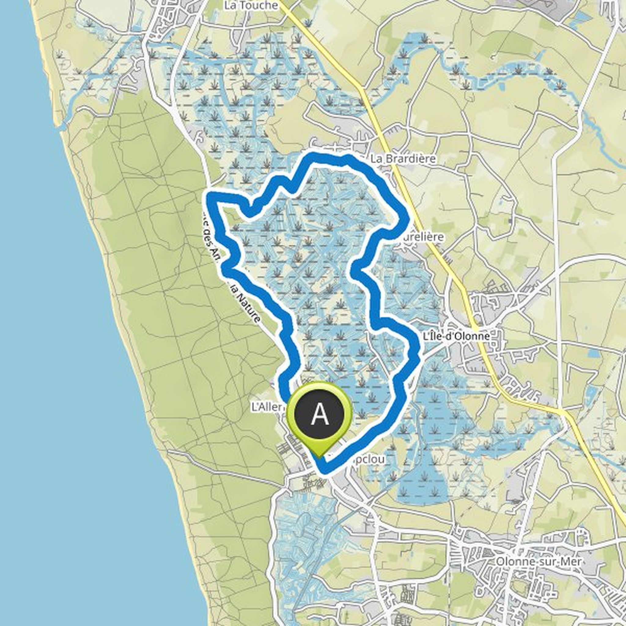 map_image
